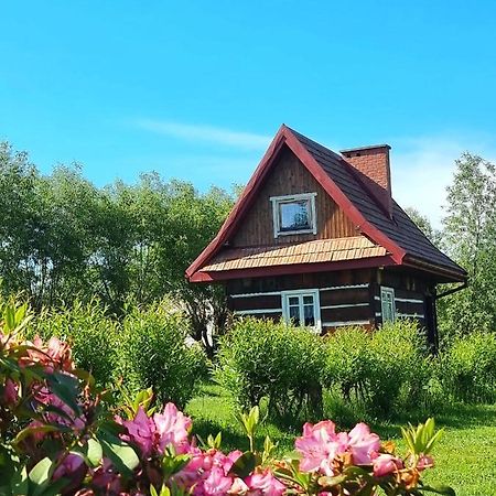 Domki Osada Werdołyna Polańczyk Dış mekan fotoğraf