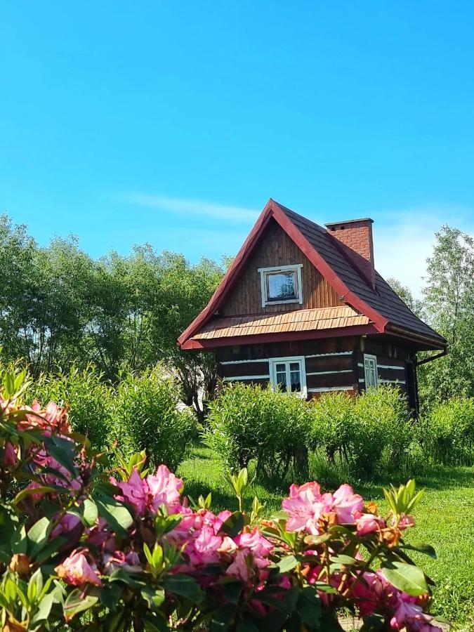 Domki Osada Werdołyna Polańczyk Dış mekan fotoğraf